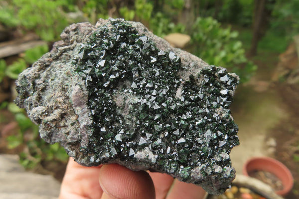 Natural Libethenite Crystals On Dolomite Matrix Specimens x 3 From Shituru, Congo