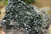 Natural Libethenite Crystals On Dolomite Matrix Specimens x 3 From Shituru, Congo