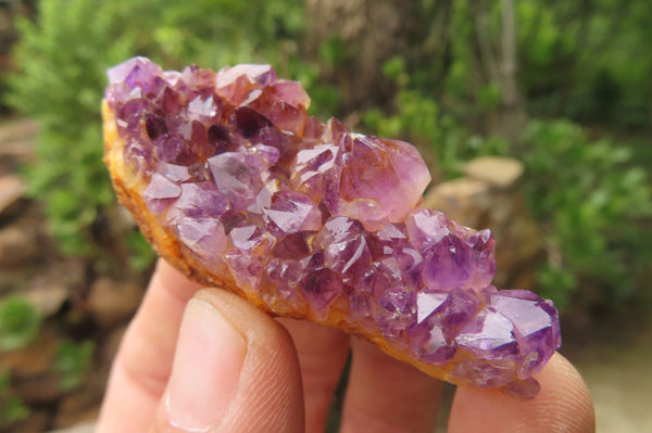 Natural Amethystos Amethyst Clusters x 35 From Kwaggafontein, South Africa