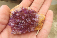 Natural Amethystos Amethyst Clusters x 35 From Kwaggafontein, South Africa