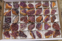 Natural Amethystos Amethyst Clusters x 35 From Kwaggafontein, South Africa