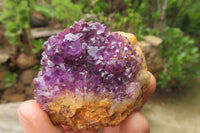 Natural Amethystos Amethyst Clusters x 35 From Kwaggafontein, South Africa