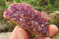 Natural Amethystos Amethyst Clusters x 35 From Kwaggafontein, South Africa