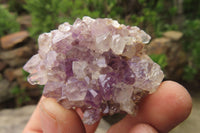 Natural Amethystos Amethyst Clusters x 35 From Kwaggafontein, South Africa