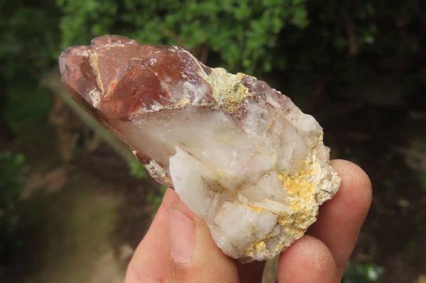 Natural Red Hematoid Quartz Clusters x 12 From Karoi, Zimbabwe