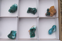 Natural Dioptase On Dolomite Specimens x 6 From Likasi, Congo