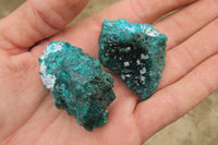 Natural Dioptase On Dolomite Specimens x 6 From Likasi, Congo