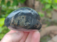 Polished Pharaoh Stone Palm Stones x 12 From Zimbabwe