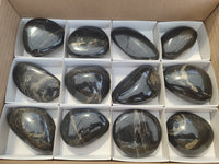 Polished Pharaoh Stone Palm Stones x 12 From Zimbabwe