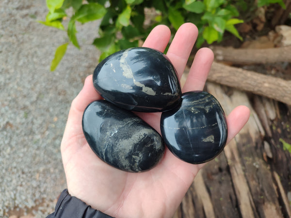 Polished Pharaoh Stone Palm Stones x 12 From Zimbabwe