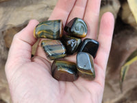 Polished Medium Blue and Gold Variegated Tigers Eye Tumble Stones - sold per KG - From South Africa