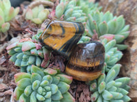 Polished Medium Blue and Gold Variegated Tigers Eye Tumble Stones - sold per KG - From South Africa