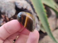 Polished Medium Blue and Gold Variegated Tigers Eye Tumble Stones - sold per KG - From South Africa