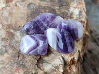 Polished Medium Chevron Amethyst Tumble Stones - sold per KG - From Zambia