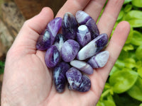 Polished Medium Chevron Amethyst Tumble Stones - sold per KG - From Zambia