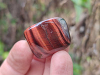 Polished Red Tigers Eye Tumble Stones - sold per KG - From South Africa