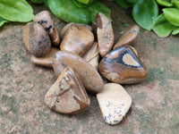 Polished Medium Picture Stone Jasper Tumble Stones - sold per KG - From Namibia