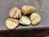 Polished Medium Picture Stone Jasper Tumble Stones - sold per KG - From Namibia