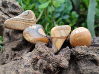 Polished Medium Picture Stone Jasper Tumble Stones - sold per KG - From Namibia