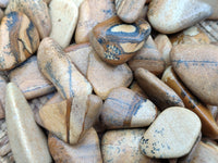 Polished Medium Picture Stone Jasper Tumble Stones - sold per KG - From Namibia