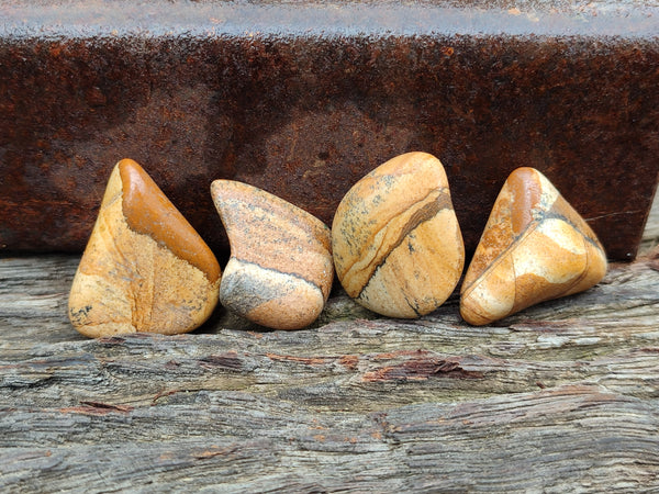 Polished Medium Picture Stone Jasper Tumble Stones - sold per KG - From Namibia