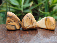 Polished Medium Picture Stone Jasper Tumble Stones - sold per KG - From Namibia