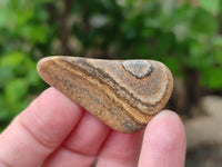 Polished Medium Picture Stone Jasper Tumble Stones - sold per KG - From Namibia