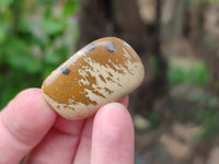 Polished Medium Picture Stone Jasper Tumble Stones - sold per KG - From Namibia