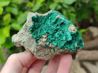 Natural Botryoidal Malachite Specimens x 6 From Tenke Fungurume, Congo