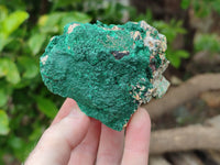 Natural Botryoidal Malachite Specimens x 6 From Tenke Fungurume, Congo