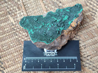 Natural Botryoidal Malachite Specimens x 6 From Tenke Fungurume, Congo