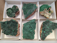 Natural Botryoidal Malachite Specimens x 6 From Tenke Fungurume, Congo