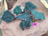 Natural Botryoidal Malachite Specimens x 6 From Tenke Fungurume, Congo