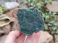 Natural Botryoidal Malachite Specimens x 6 From Tenke Fungurume, Congo