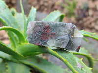 Natural Bloodstone Cobbed Specimens x 1.8 Kg Lot From Swaziland