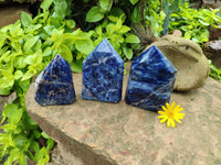 Polished Sodalite Points x 3 From Kunene River, Namibia