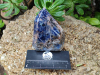 Polished Sodalite Points x 3 From Kunene River, Namibia