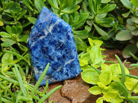 Polished Sodalite Points x 3 From Kunene River, Namibia