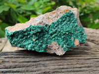 Natural Botryoidal Malachite Specimens x 5 From Tenke Fungurume, Congo