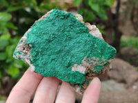 Natural Botryoidal Malachite Specimens x 5 From Tenke Fungurume, Congo