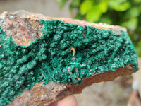 Natural Botryoidal Malachite Specimens x 5 From Tenke Fungurume, Congo