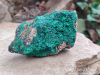 Natural Botryoidal Malachite Specimens x 5 From Tenke Fungurume, Congo