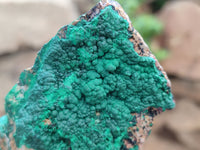 Natural Botryoidal Malachite Specimens x 5 From Tenke Fungurume, Congo