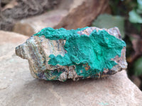 Natural Botryoidal Malachite Specimens x 5 From Tenke Fungurume, Congo