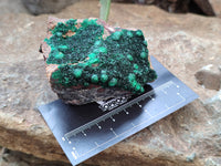 Natural Botryoidal Malachite Specimens x 5 From Tenke Fungurume, Congo