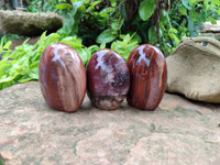 Polished Podocarpus Petrified Wood Standing Free Forms x 4 From Mahajanga, Madagascar