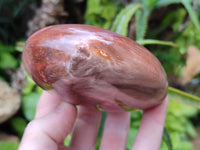 Polished Podocarpus Petrified Wood Standing Free Forms x 4 From Mahajanga, Madagascar