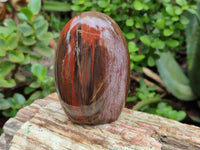 Polished Podocarpus Petrified Wood Standing Free Forms x 4 From Mahajanga, Madagascar