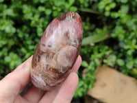 Polished Podocarpus Petrified Wood Standing Free Forms x 4 From Mahajanga, Madagascar