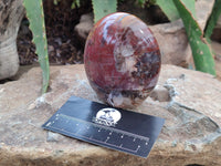 Polished Podocarpus Petrified Wood Standing Free Forms x 4 From Mahajanga, Madagascar